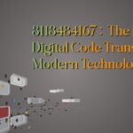 3113484167