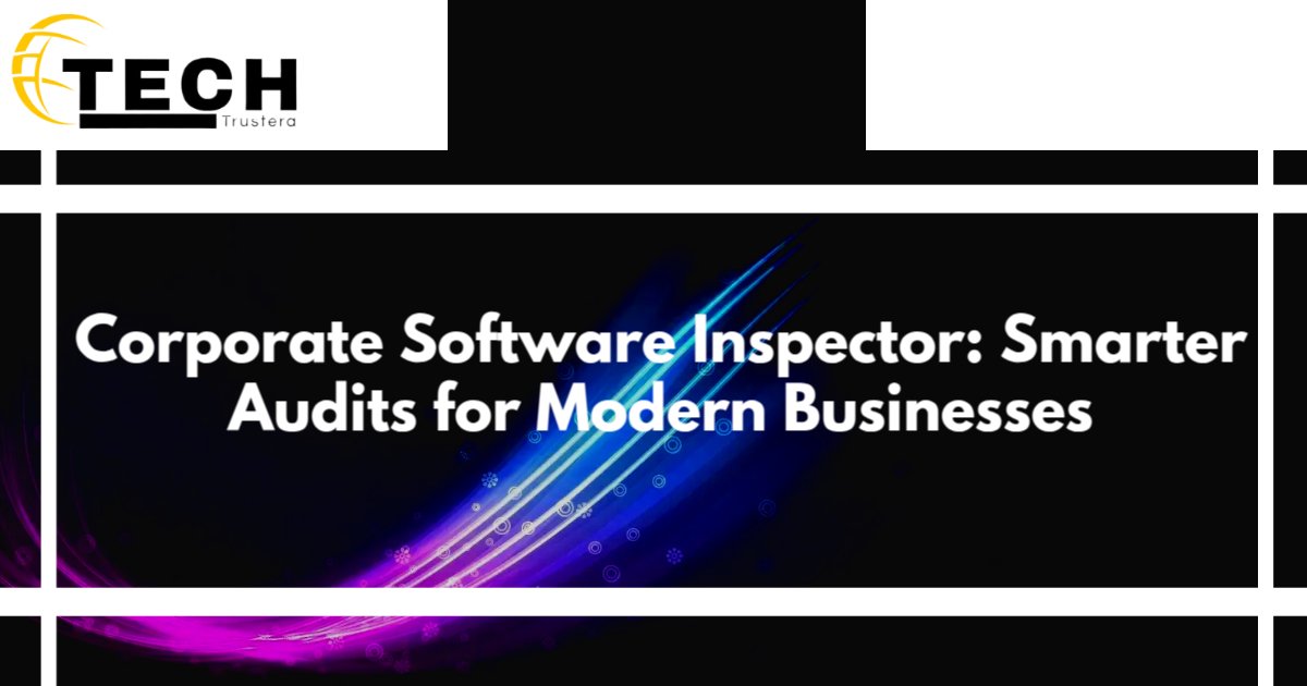 corporate software inspector